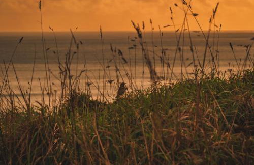 Holiday Home Hillside by Interhome - Photo 66