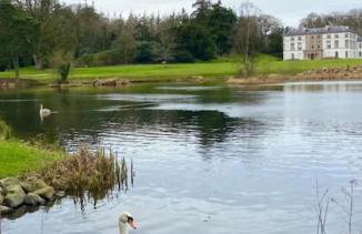 Sarsa Cottage Ballynahinch - Foto 43