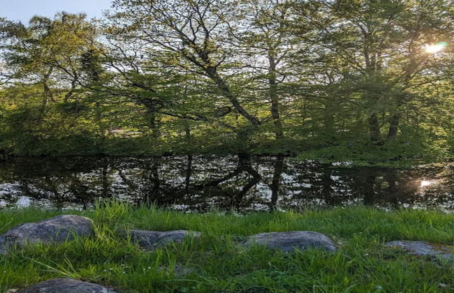 4 Person Holiday Home in Frederiksvaerk-by Traum - Foto 13