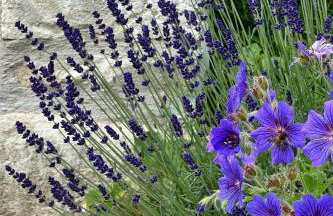 The Old Workshop, Monkton Combe - Elegant Countryside Retreat near Bath - Foto 36