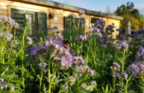 Holiday Home in Atzenhain mit Großer Terrasse by Interhome - Foto 11