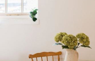 Snug Cotswolds Farm Cottage - The Henloft - Foto 20