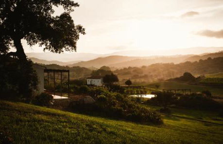 Auberge Santu Martine: Cottage with pool (Pira) - Foto 49