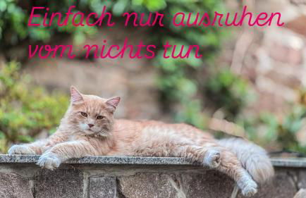 Landappartement Stritter - Photo 32