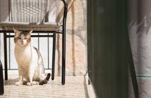 Fotini's House - Photo 9