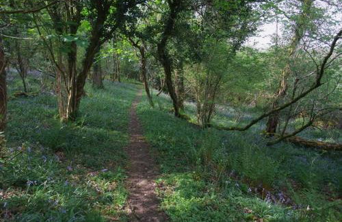 Honey House - Foto 20