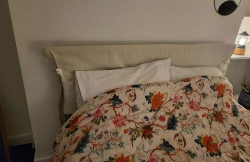 Oval Cricket Ground walking distance - Foto 18