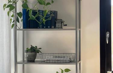 Il tuo rifugio tra Firenze e Pisa - Foto 7