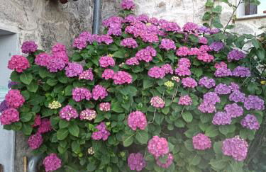 Casa dos Muros turismo rural y actividades en la Ribeira Sacra - Foto 74