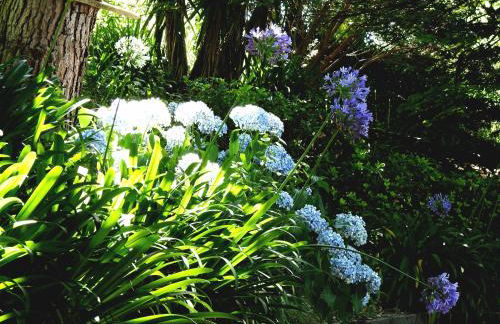 Quinta de S. Vicente 317 - Foto 35