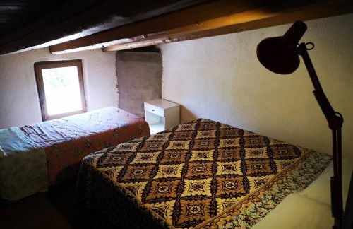 Pinnettu sardo casa di campagna in ecosistema insetti e animaletti simpatici in condivisione,Leggere attentamente Prima di prenotare - Foto 72