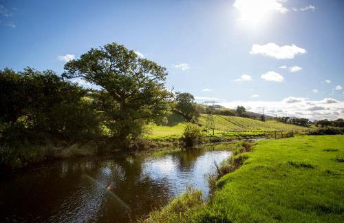 Felin Gogoyan - Photo 32