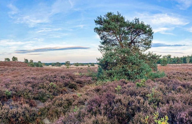 Bungalow in Veluwe Nature Park Retreat - Photo 30