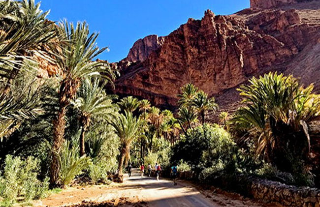 Tour de 2 días y 1 noche en Tafraoute y Cañón de Ait Mansour - Foto 11