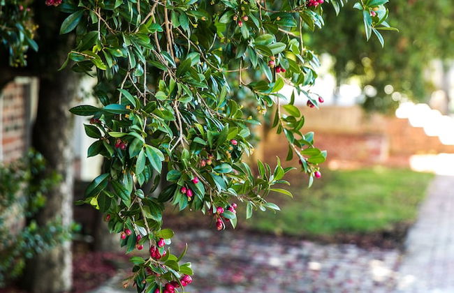 Village Lodge Paarl - Photo 37