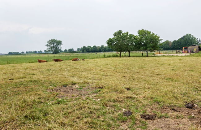 Elegant Holiday Home With Horssen With Terrace - Photo 23