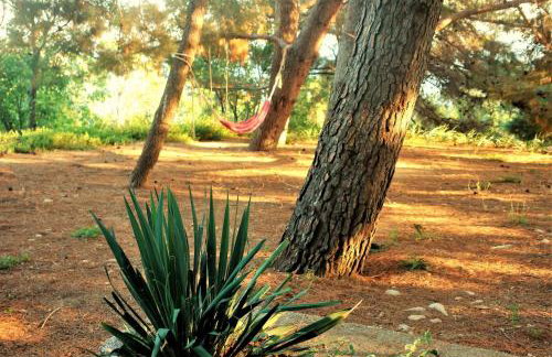 Quercus Apartment - Foto 7