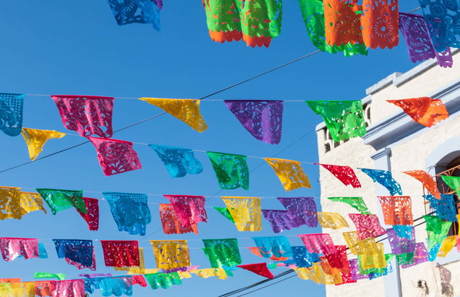 Day Trip to Todos Santos - Photo 6