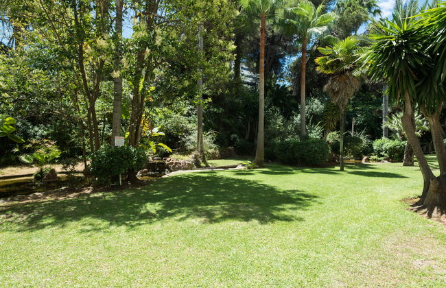 Jardines del Mar - Foto 18