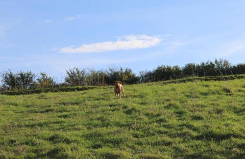 The Nestle - A Romantic Rural Retreat - Foto 37