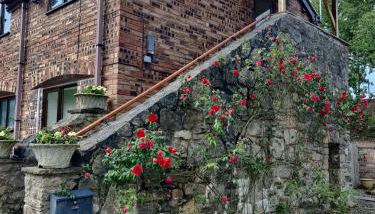 The Granary - Photo 5