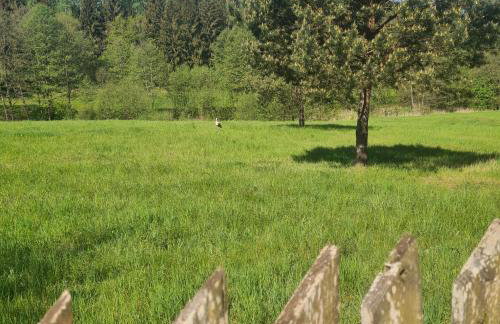 Dom Na Szlaku Mazury - Photo 16