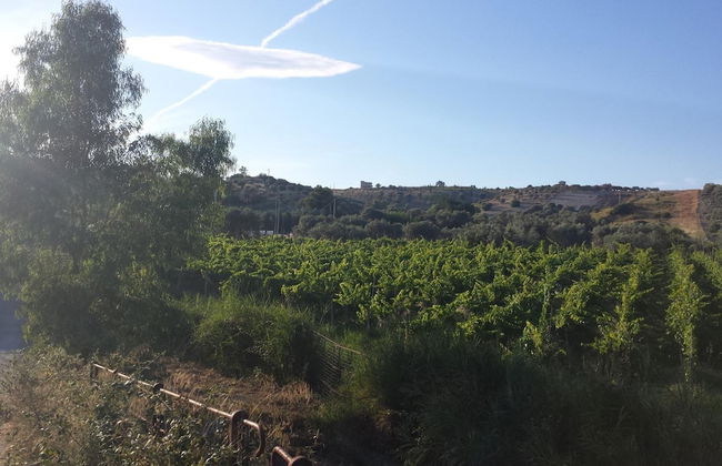 Agriturismo Donna Beatrice - Photo 30