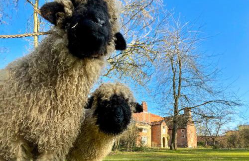 Sparrows Nest - Uk50109 - Foto 14