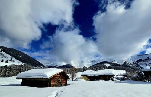 Chalet du Lay Côte 2000 ski in ski out - Foto 42