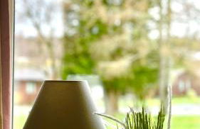 Wild Jungle Retreat - Foto 16