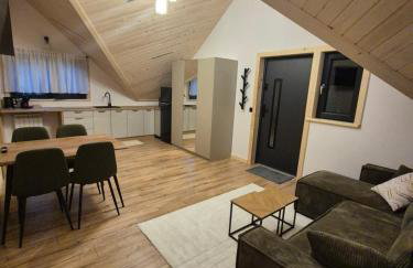 Apartament z prywatną wanną z hydromasażem - U Parów - Foto 79