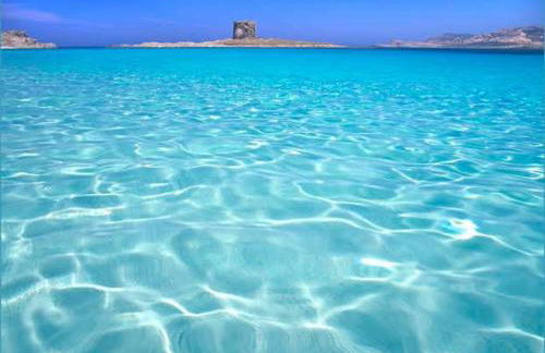 SPILLY'S house - Foto 44