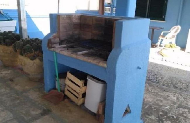 Gecko's House - Foto 23