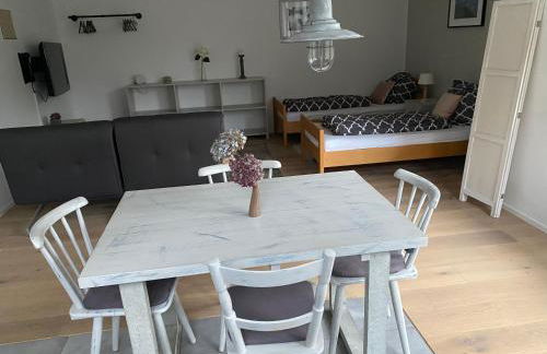 Modern studio apartment with exterior entrance in Nuremberg suburb - Foto 1