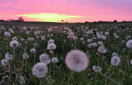 Stara Stolarnia - Foto 48