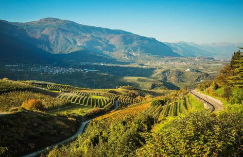 Appartamenti Decarli - Foto 58