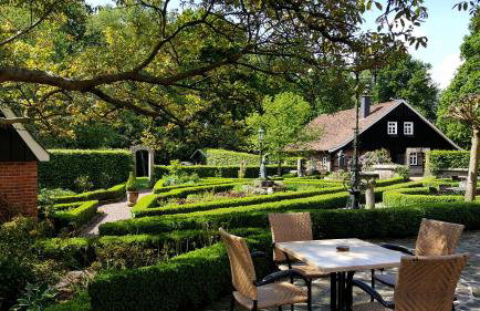 FeWo Grafschaft - Foto 39