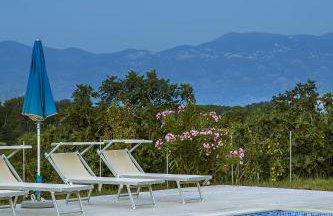 Apartments Juranić - Photo 6