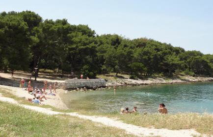 Cvit Jadrana - Foto 34