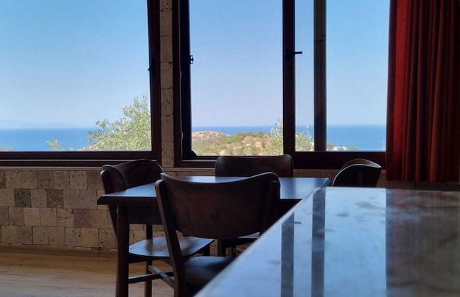 Sole Foca ( Ages 12+ ) - Foto 31