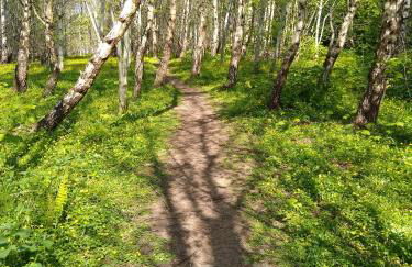 Escape to Anglesey, Dog Friendly - Photo 32