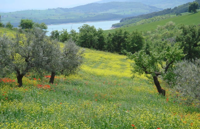 House With Pool, Garden and Wifi in Medieval Village, With Panoramic Views - Foto 30