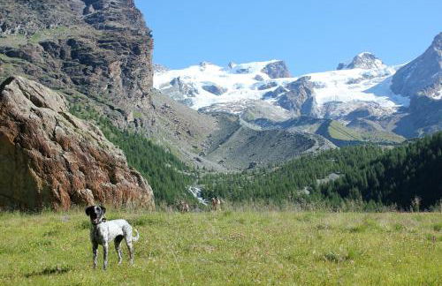 Maison Fosson - Foto 58