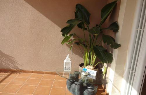 LAS PALOMAS, appartement 2 chambres avec piscine - Photo 28