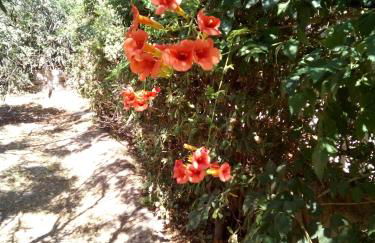 Family and friendly home. - Foto 2