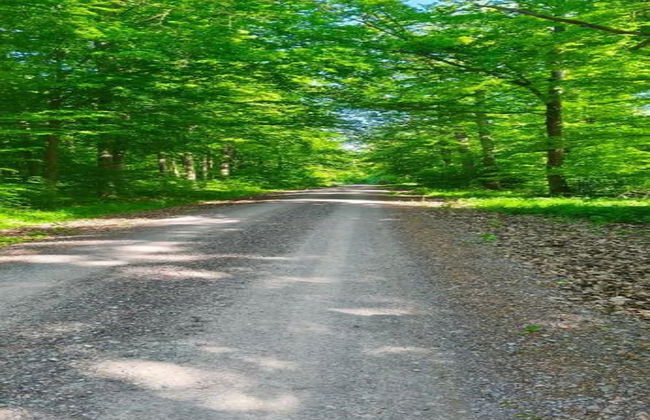 Family Getaway in Dankerode - Foto 34