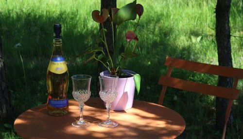 Gîte Nature au Chambon-sur-Lignon: Terrasse, Wifi, Proche Activités et Commerces - FR-1-582-137 - Foto 3