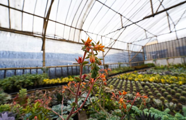 OYO Homes 91006 Eco Tourism Desa Cibodas Areng 5 Syariah - Photo 42