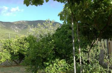 Apartman Studio Lu - Foto 18