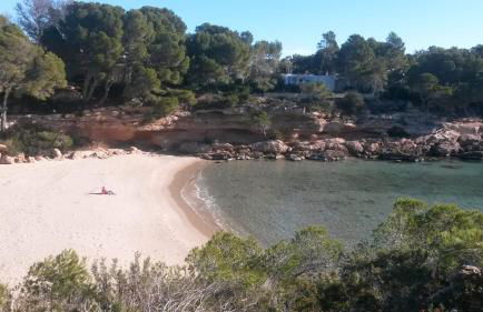 ROQUES DAURADES III - JARDIN PRIVADO - Foto 25